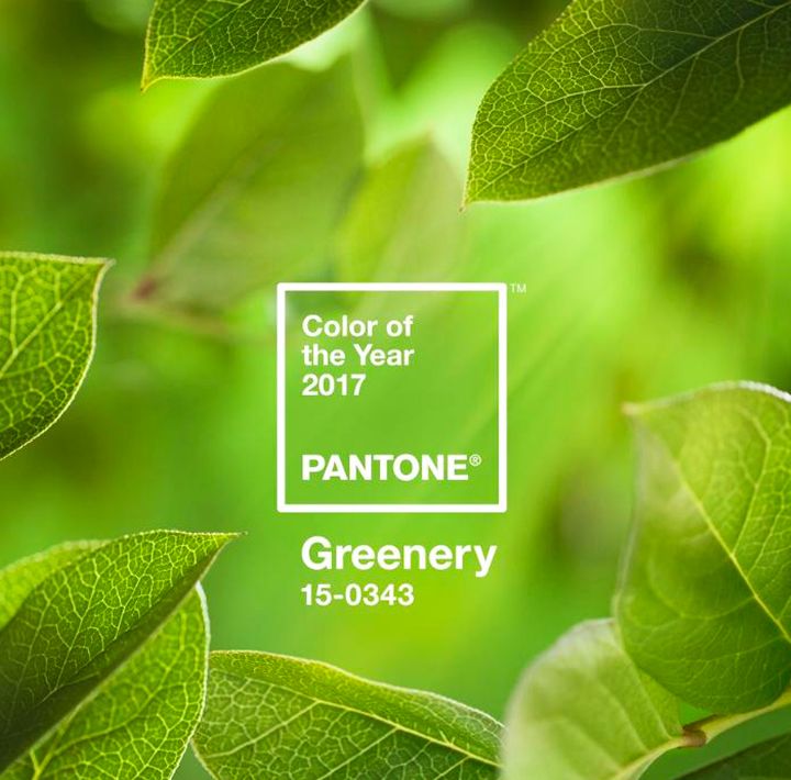 Pantone Releases the color of 2017: Greenery